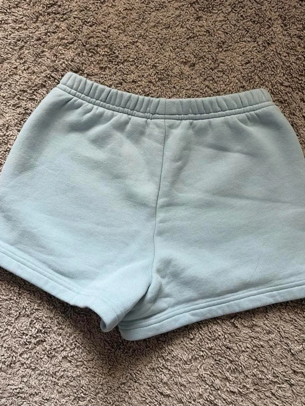 Aritzia light blue sweatshorts